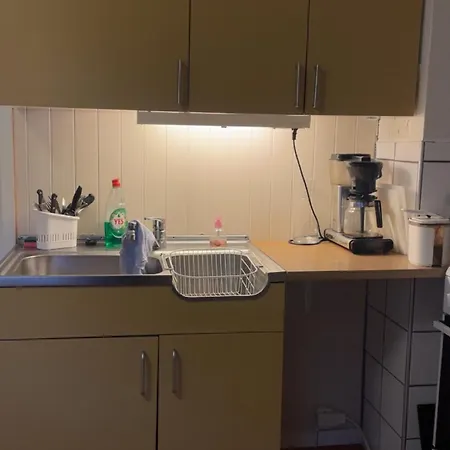 Sommerhus, Edvinstua.