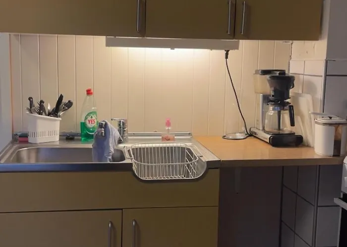 Sommerhus, Edvinstua.